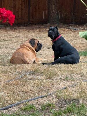 photo of Kimberly A.