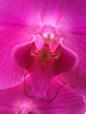 photo of Victoria S.