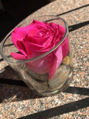 Photo of Jennifer J.