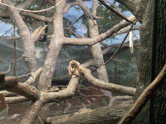 Photo of Gabriella C.