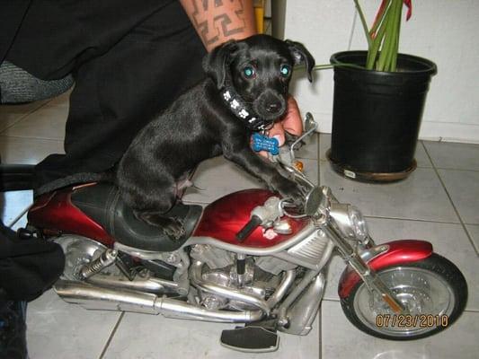 Photo of Brittany G.