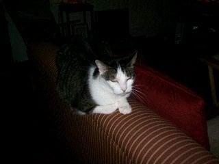 Photo of Barbi E.