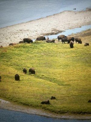 photo of Floridian H.