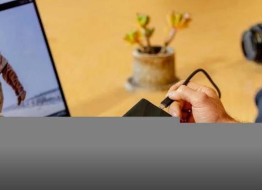 photo of Fernanda W.