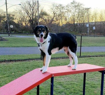 photo of Anonymous A.