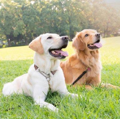 photo of Madeline T.