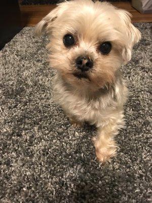 photo of christina t.