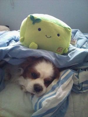 photo of Patricio G.