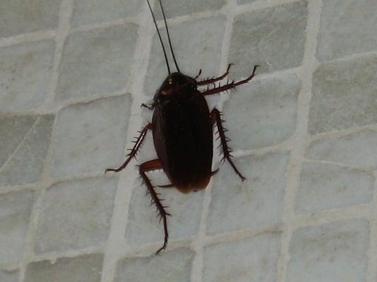 Photo of Mandy H.