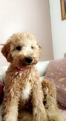 Photo of Thalia R.