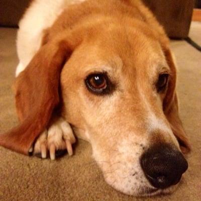 photo of Zackario R.