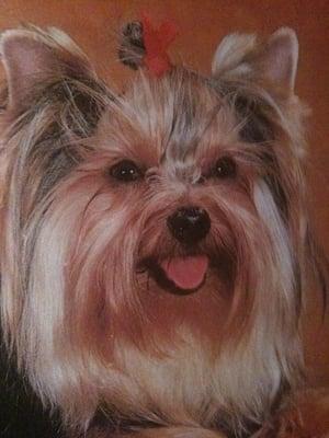 Photo of Noemi B.