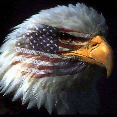 Photo of Christina D.