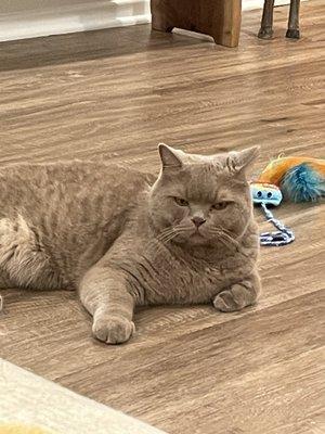 photo of Mei-Ling A.