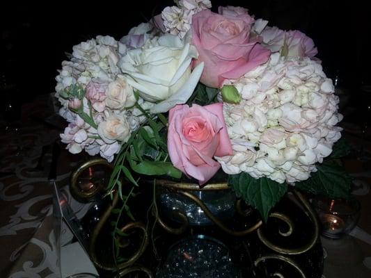 photo of Elizabeth D.