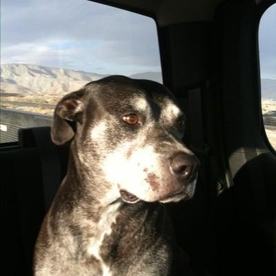 photo of Sunshine S.