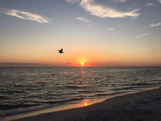 photo of Corey And Mary Lou K.