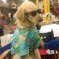 photo of Patricia P.