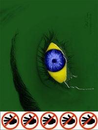 Photo of Fabiana D.