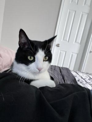 photo of Stefanie M.