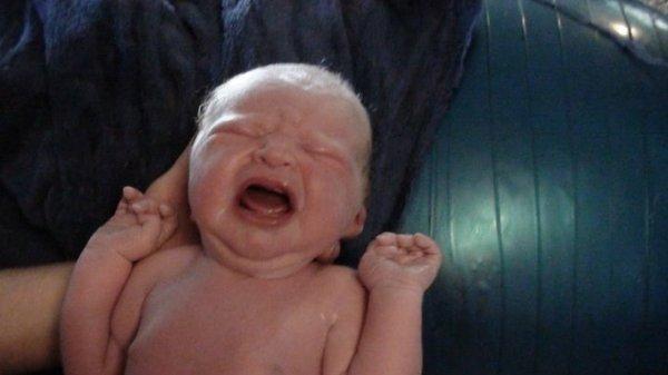 photo of Stephanie E.