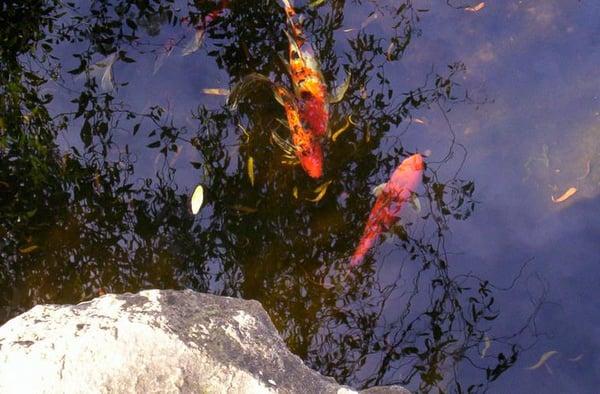 photo of Lawrence S.