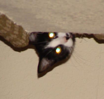 photo of Patricia I.