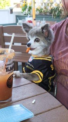 Photo of Pat O.