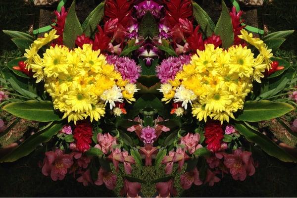 Photo of Serenity N.