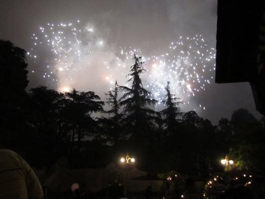 Photo of Michelle H.