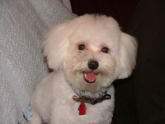 Photo of T. M.