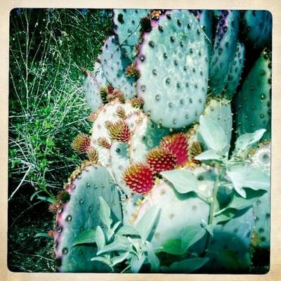 photo of Isabella Y.