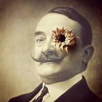 Photo of Eser A.