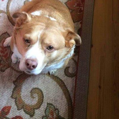 photo of Mary-Etta L.