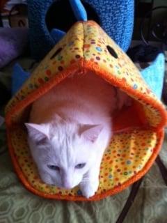 Photo of Darcy M.