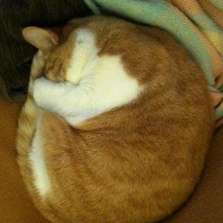 photo of Mill Valley L.