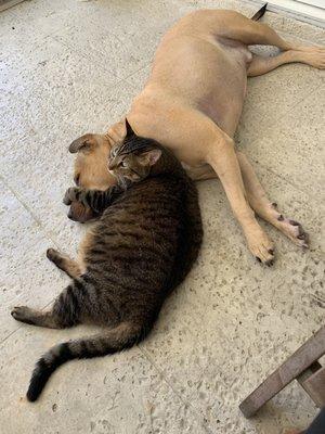 photo of Danielle P.