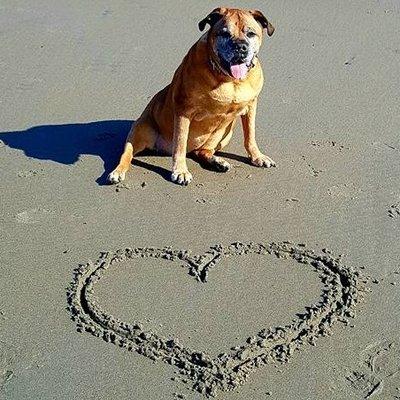 photo of Meredith M.