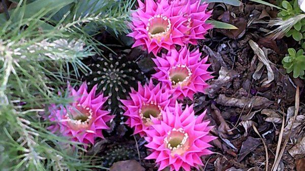 photo of Marytheresa M.