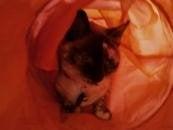 Photo of Jei B.