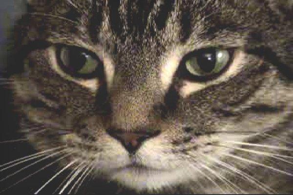 photo of Jinah And Jason L.