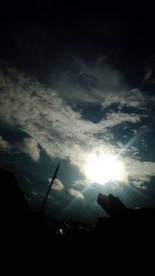 photo of Paulette B.