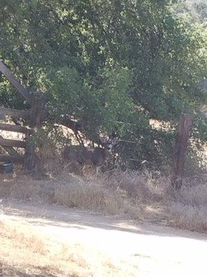 photo of Stephanie B.