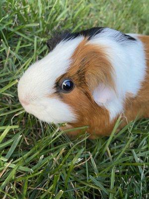 Photo of Brody B.