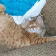 Photo of Jinx L.