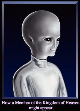 Photo of steve h.