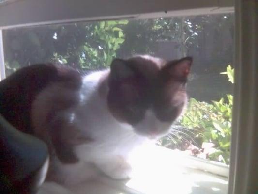 Photo of Veronica J.