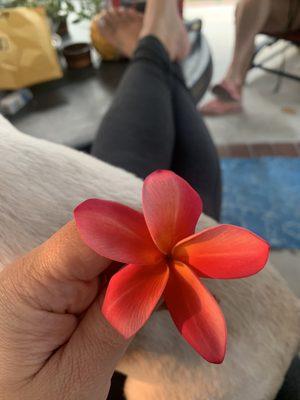 photo of Christine Z.