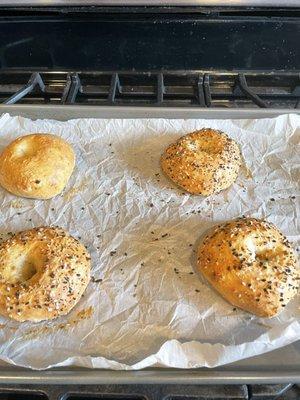 photo of Patricia N.