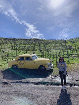 photo of Jennifer H.